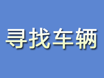 曲麻莱寻找车辆